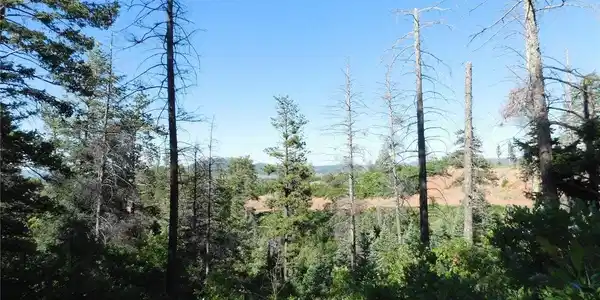 Image 4 Image 4