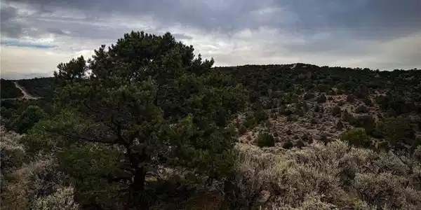0 Rodriguez Rd
