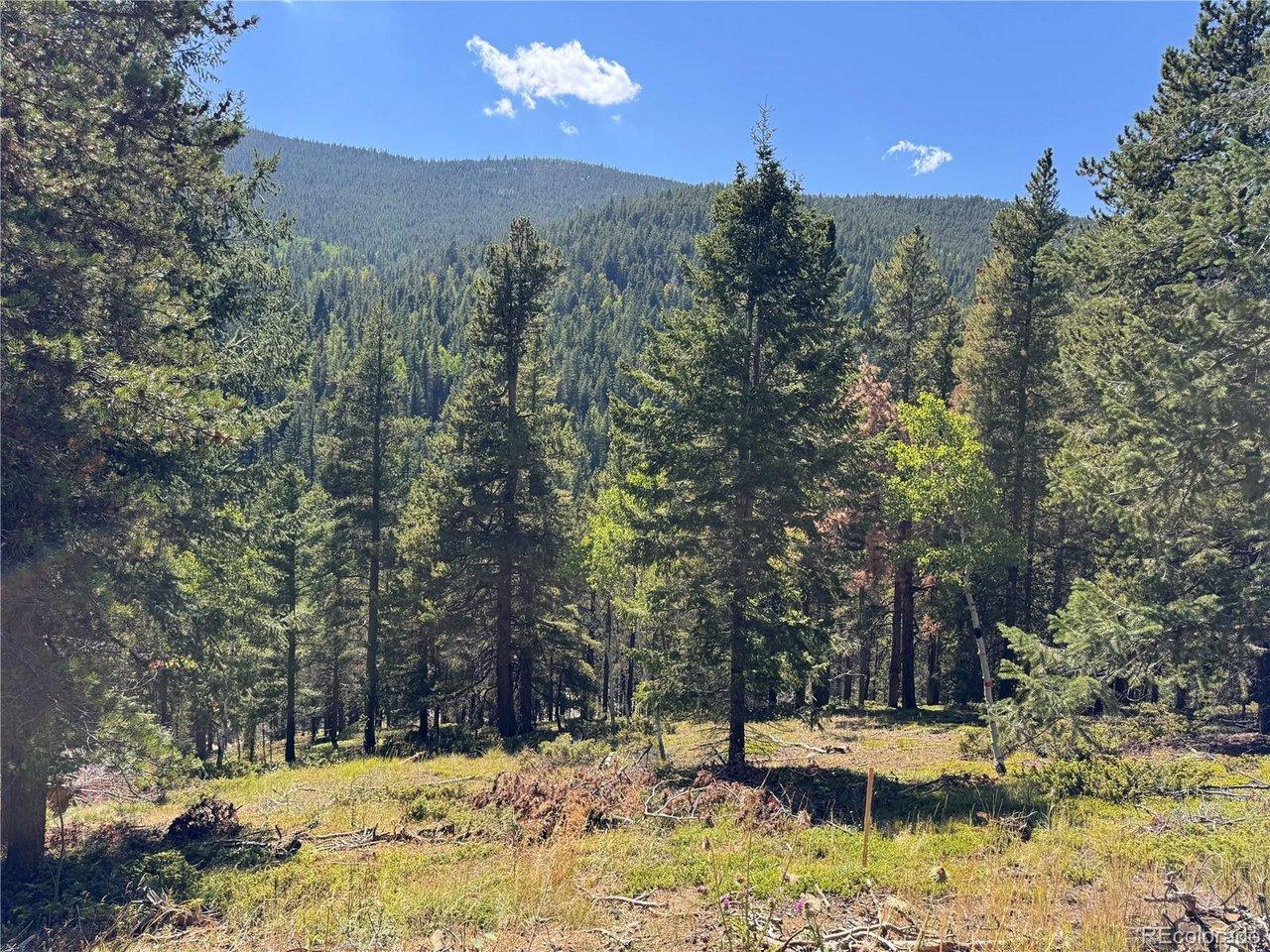 Image 1 Image 1