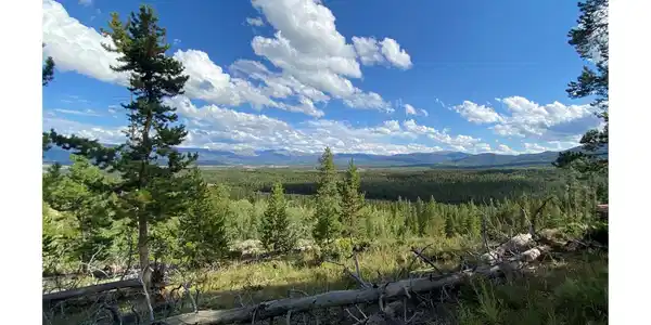 226 County Rd 863 (aka Ridge Rd)