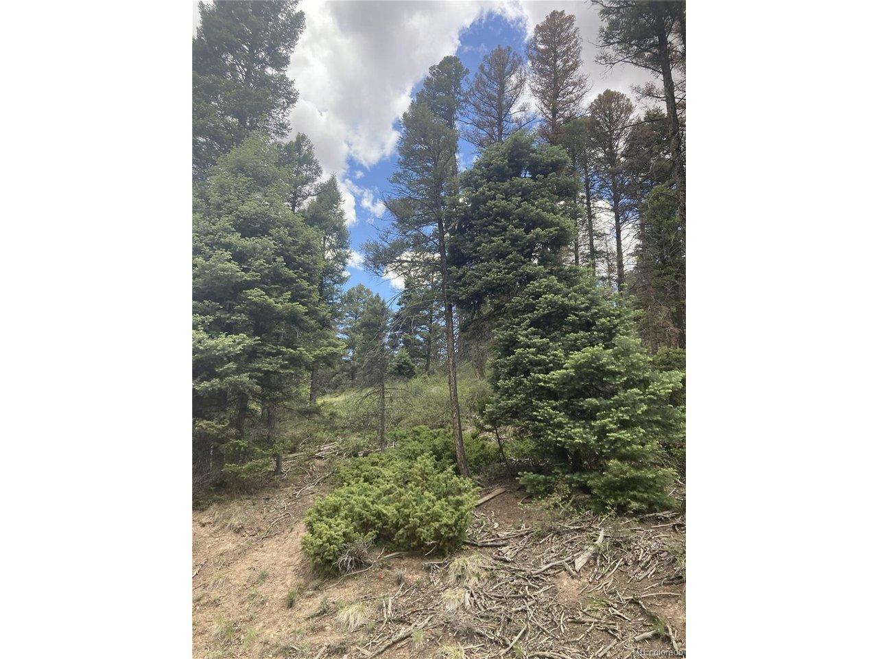 Image 4 Image 4