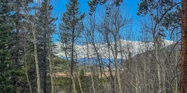 Buckeye Gulch Road