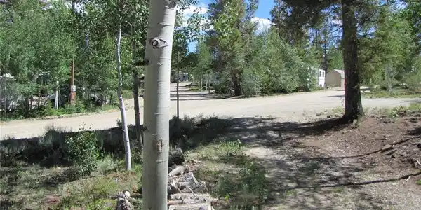 Image 4 Image 4