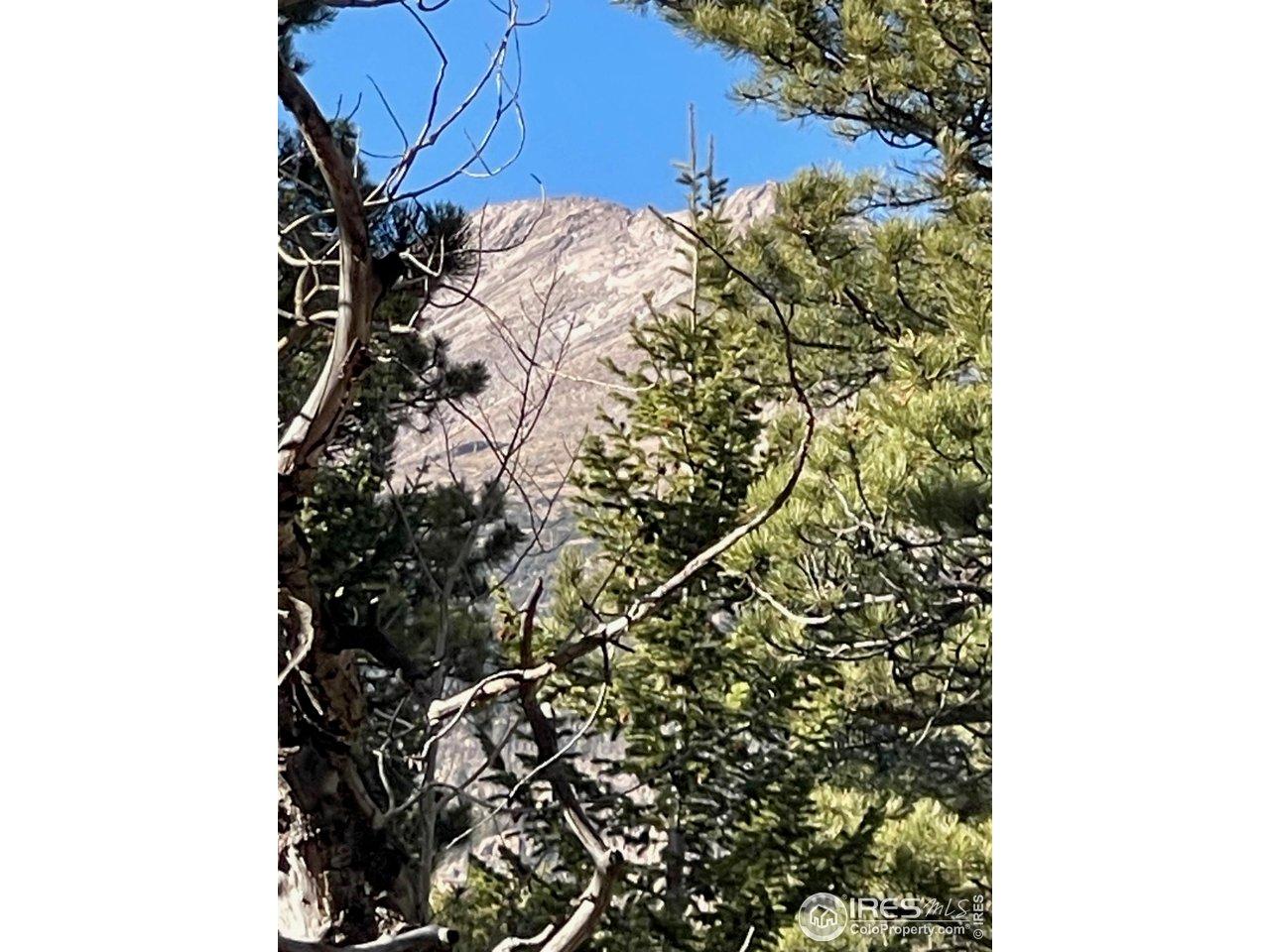 Image 4 Image 4