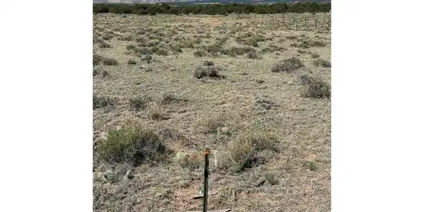 Image 4 Image 4