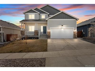 10578 Rolling Peaks Dr