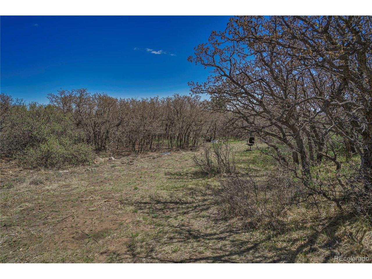 Image 4 Image 4