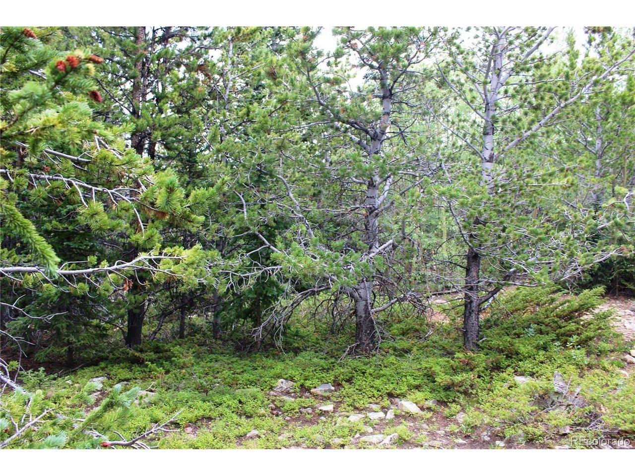 Image 4 Image 4