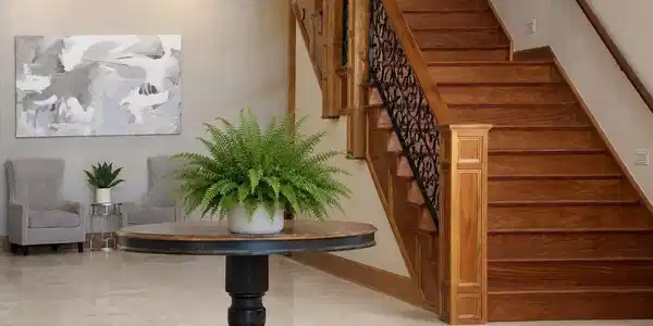 Image 4 Image 4