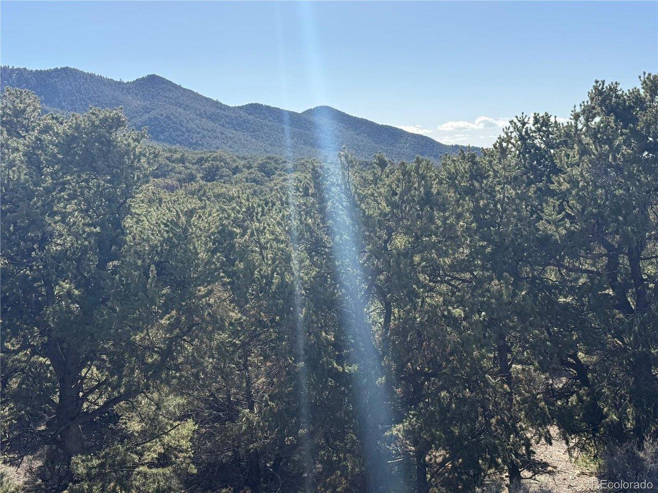 Image 4 Image 4