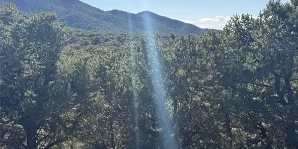 Image 4 Image 4