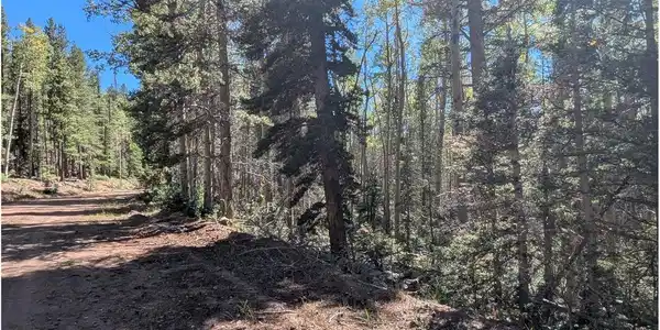 Image 3 Image 3