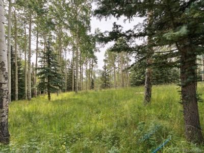 0 Snyder Mountain Rd