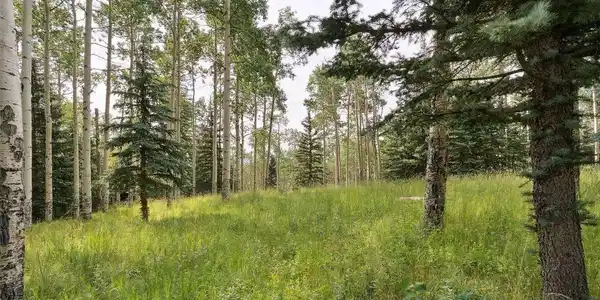 0 Snyder Mountain Rd