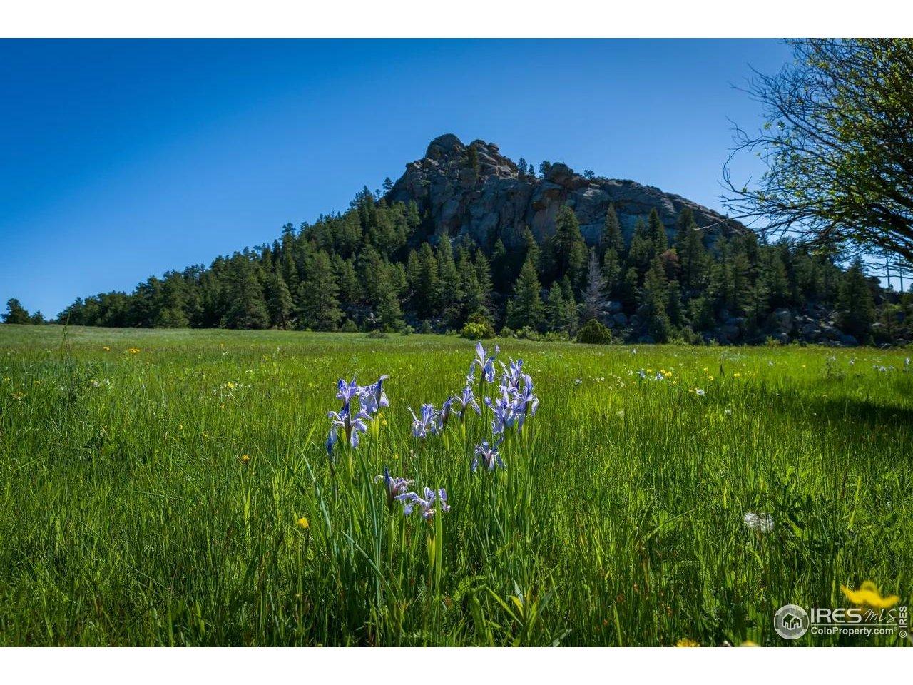 Image 1 Image 1
