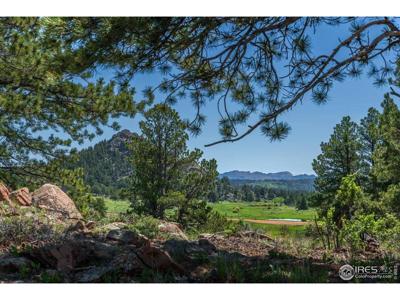 Mountain Pony Rd