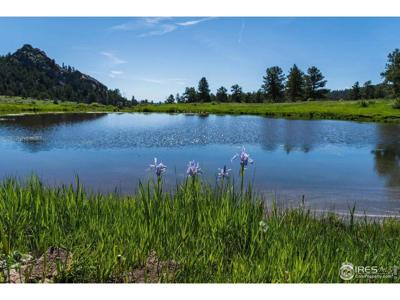 Shoshana Ranch Rd