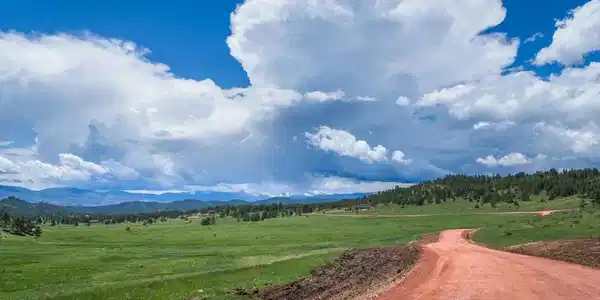 Image 4 Image 4