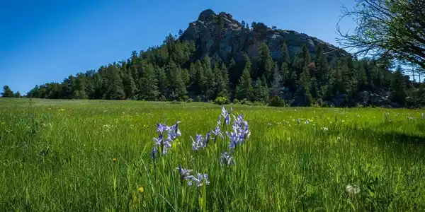 Image 3 Image 3