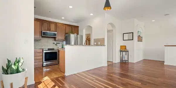Image 3: Open and Vibrant
