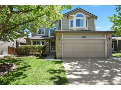 7267 Mountain Brush Ln