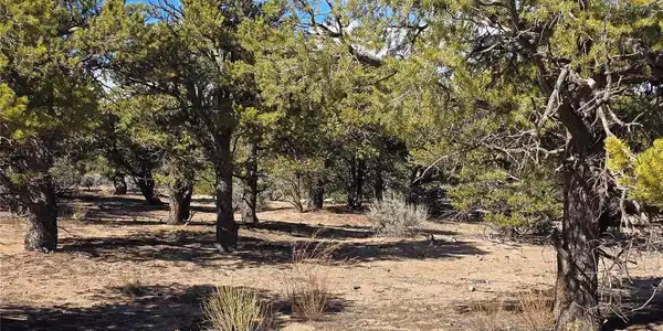 Image 4 Image 4