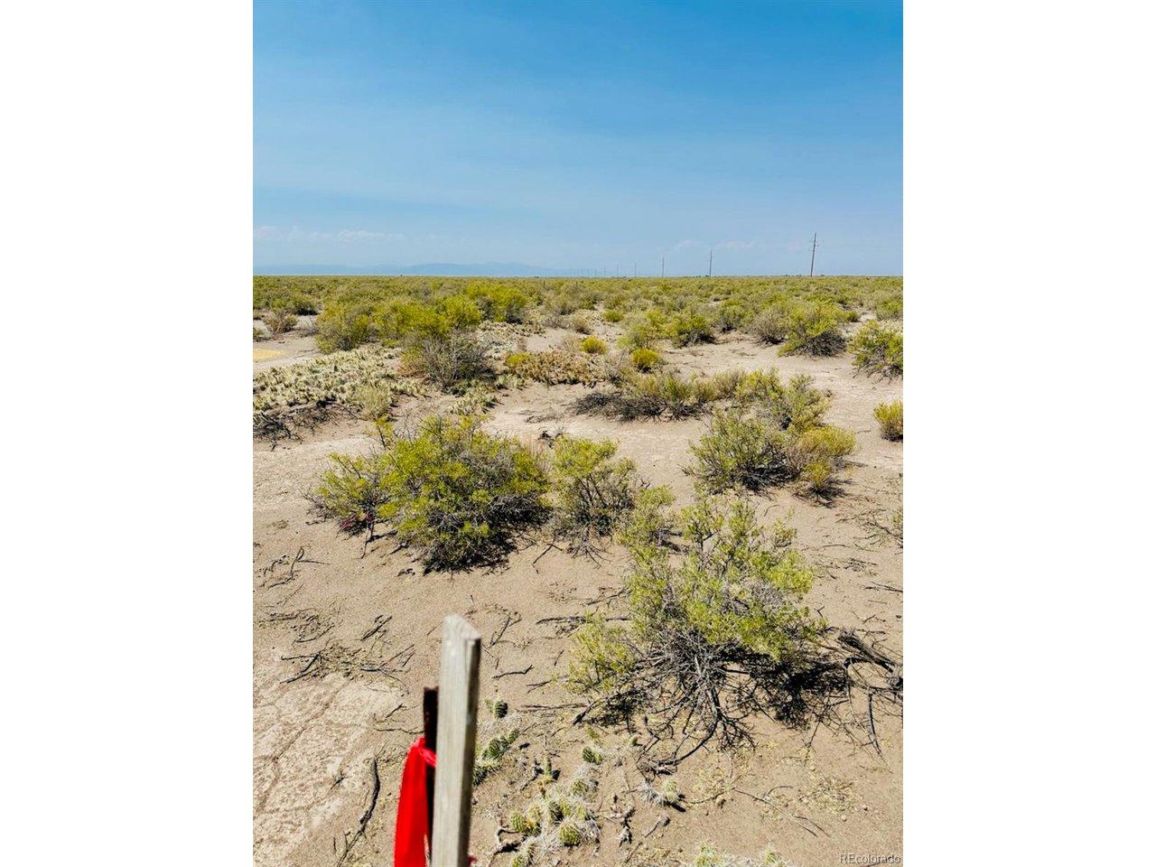 Image 4: Natural vegetation. Image 4: Natural vegetation.