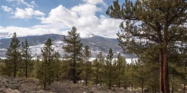 Image 4 Image 4