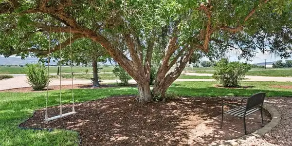 Image 3: Front Yard Image 3: Front Yard