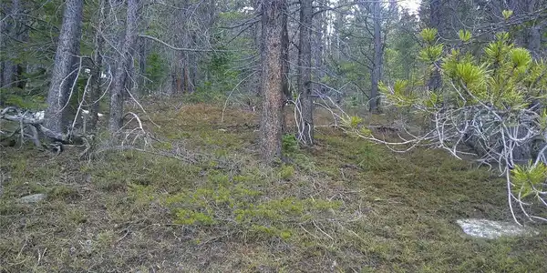 Image 3 Image 3