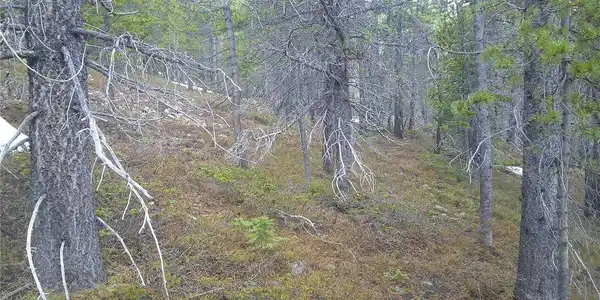 Image 4 Image 4
