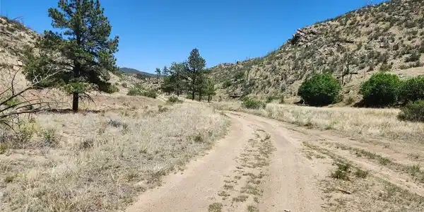 Image 4 Image 4