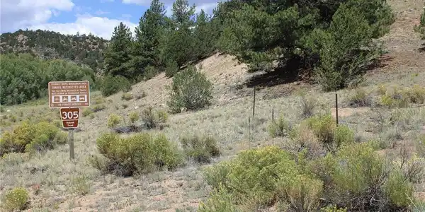 Image 3: County Road 305 at the property's gravel, county-maintained frontage.