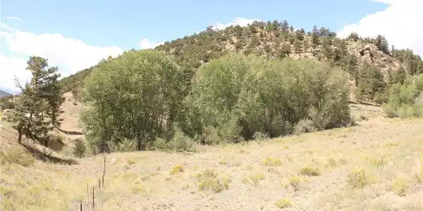 Image 4: Rolling forest and meadow terrain along the approach to the property.