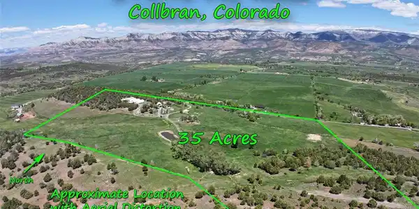 Image 4 Image 4