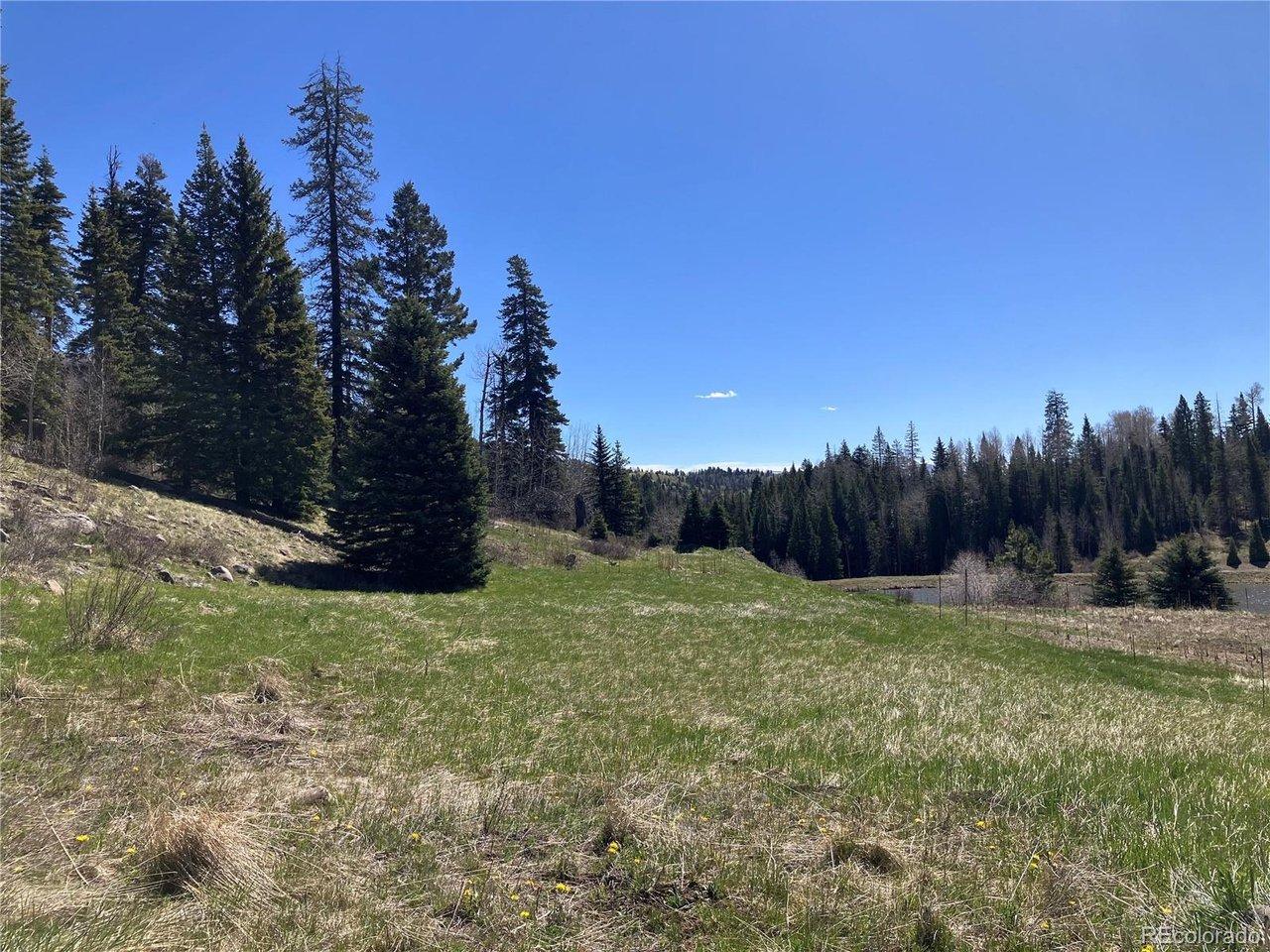Image 2: Flat level building site and ample old growth trees and privacy Image 2: Flat level building site and ample old growth trees and privacy