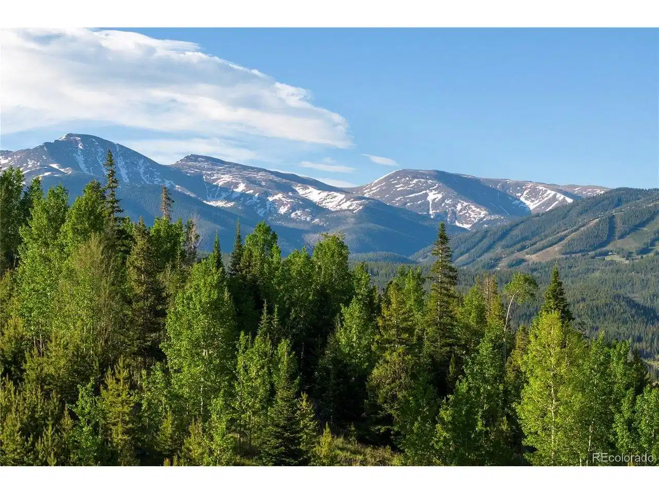 Image 1 Image 1
