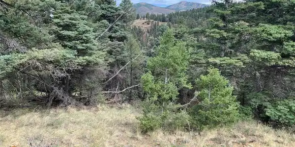 Image 4: Lot 112 Forbes Wagon Creek Ranch Image 4: Lot 112 Forbes Wagon Creek Ranch