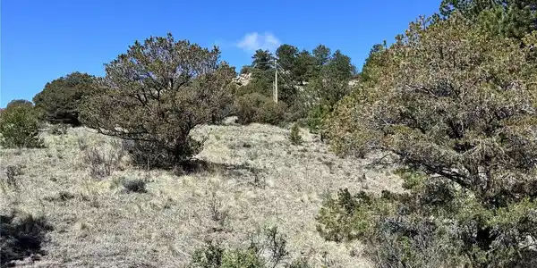 Image 3 Image 3