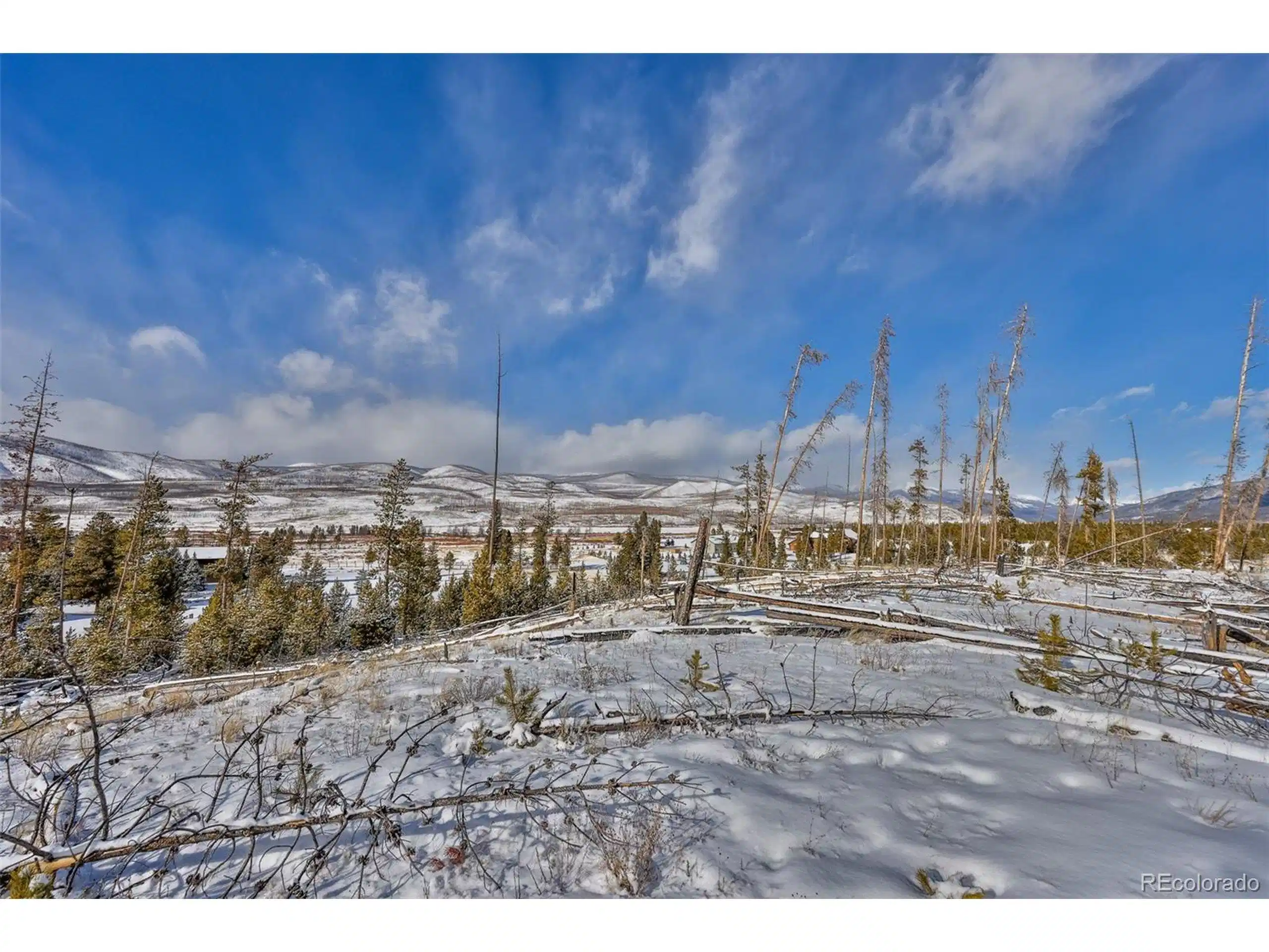 Image 1 Image 1