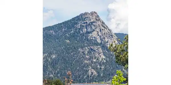 Image 4 Image 4