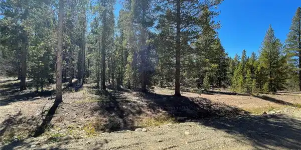 Image 2: Enjoy the tree line backing to the Leadville bike path Image 2: Enjoy the tree line backing to the Leadville bike path