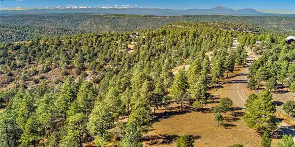 33250 Fox Trail