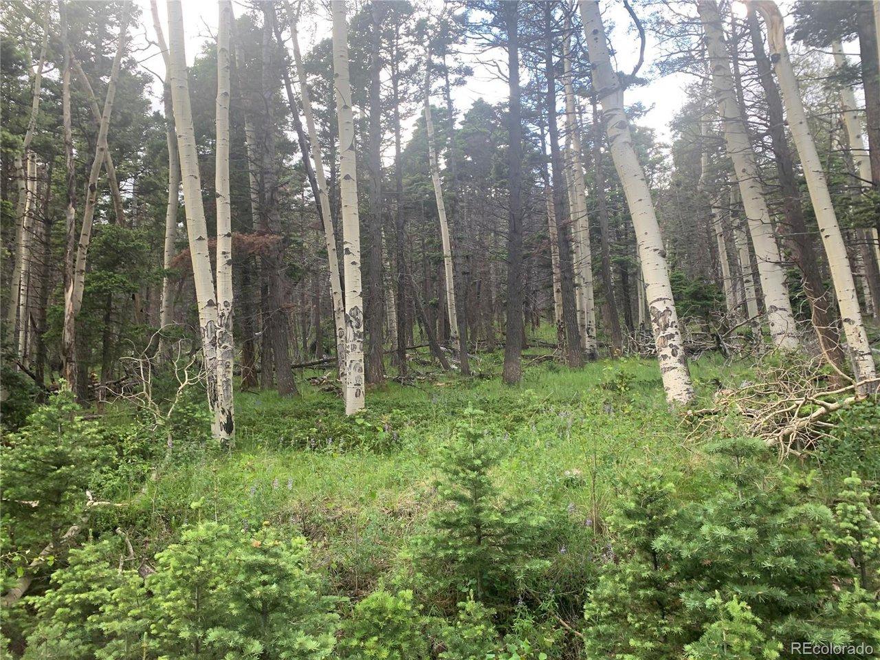 Image 1: property from road