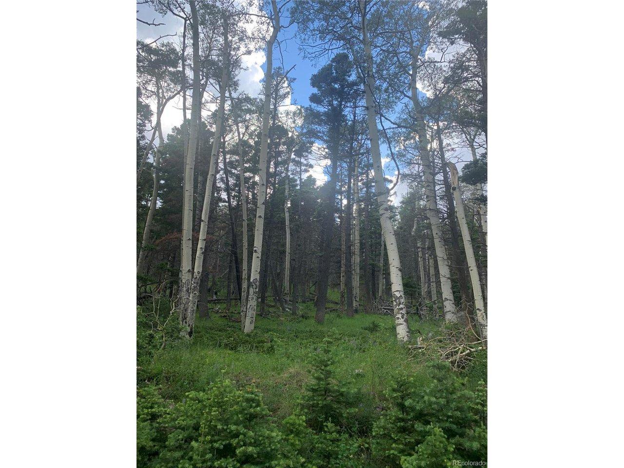 Image 2: property view aspen