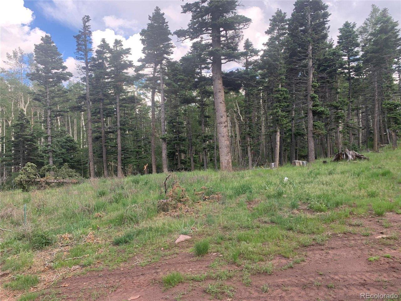 Image 4: Pad