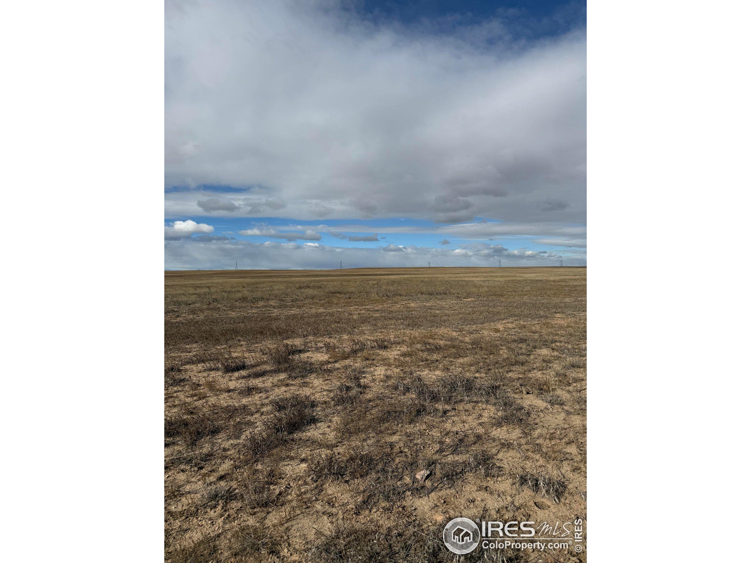 Image 3 Image 3