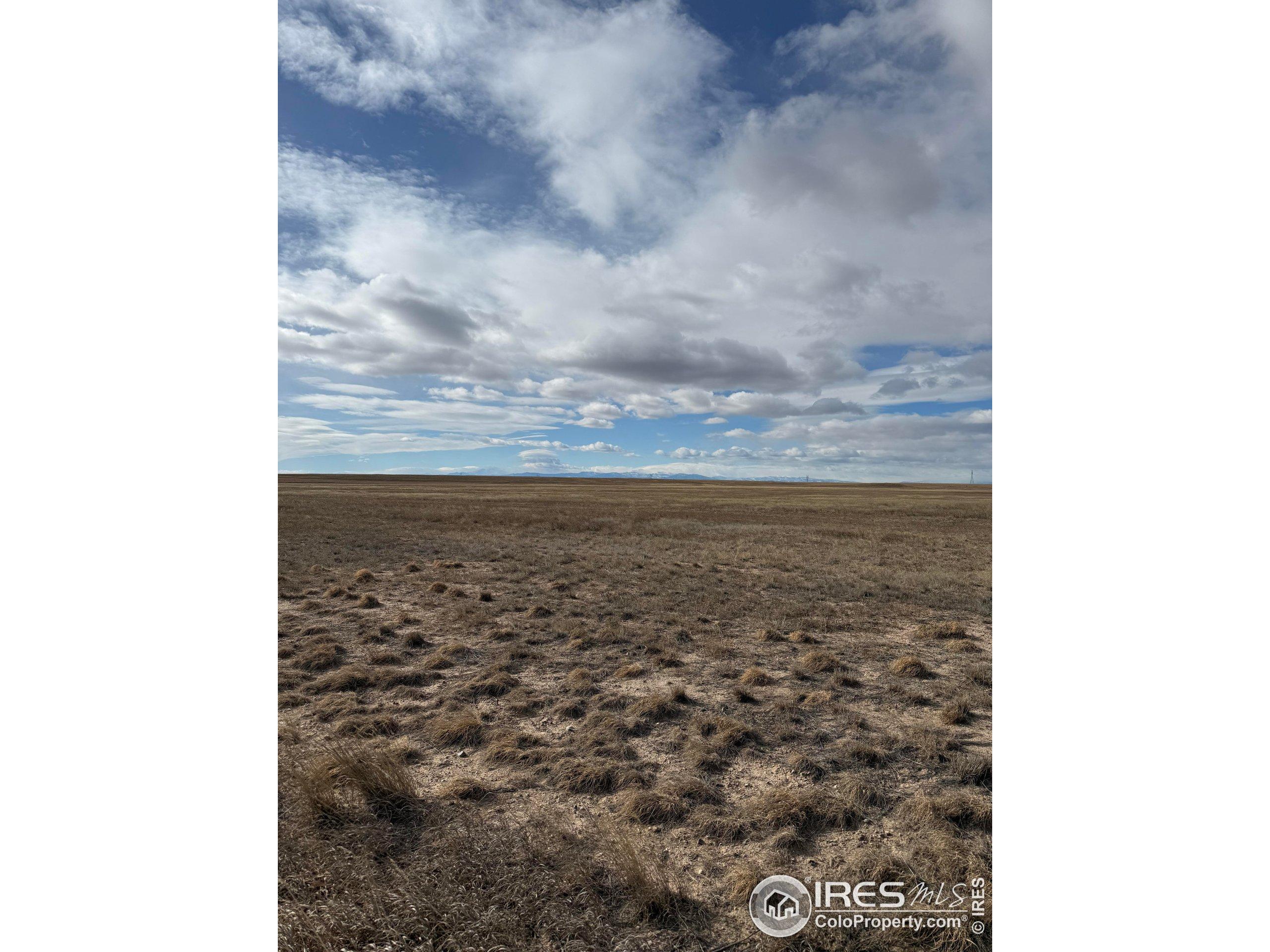 Image 4 Image 4