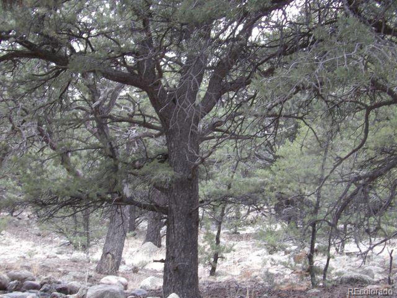 Image 3 Image 3