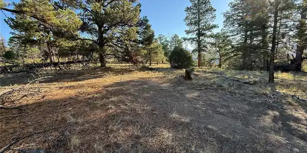 Image 3 Image 3